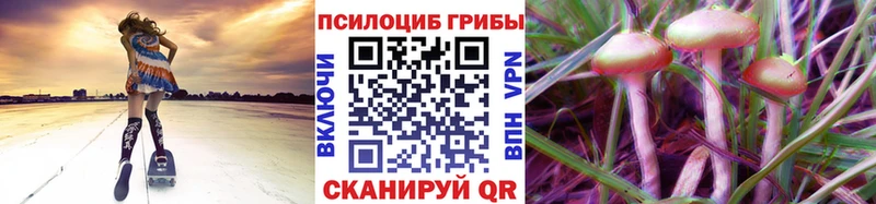 Псилоцибиновые грибы Psilocybine cubensis  Тольятти 