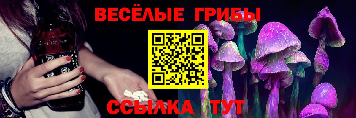 Галлюциногенные грибы мухоморы  Псилоцибиновые грибы Psilocybine cubensis  Тольятти 