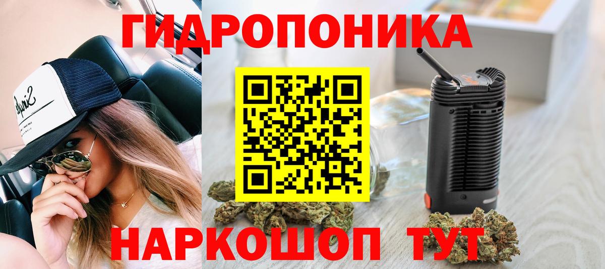 Конопля индика  Каннабис OG Kush  Тольятти  МАРИХУАНА конопля  Марихуана семена  Вход с VPN 